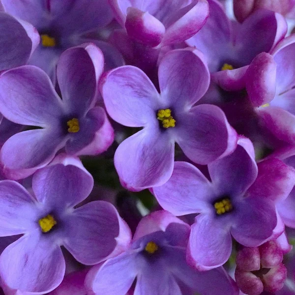 博彩网站棋牌游戏